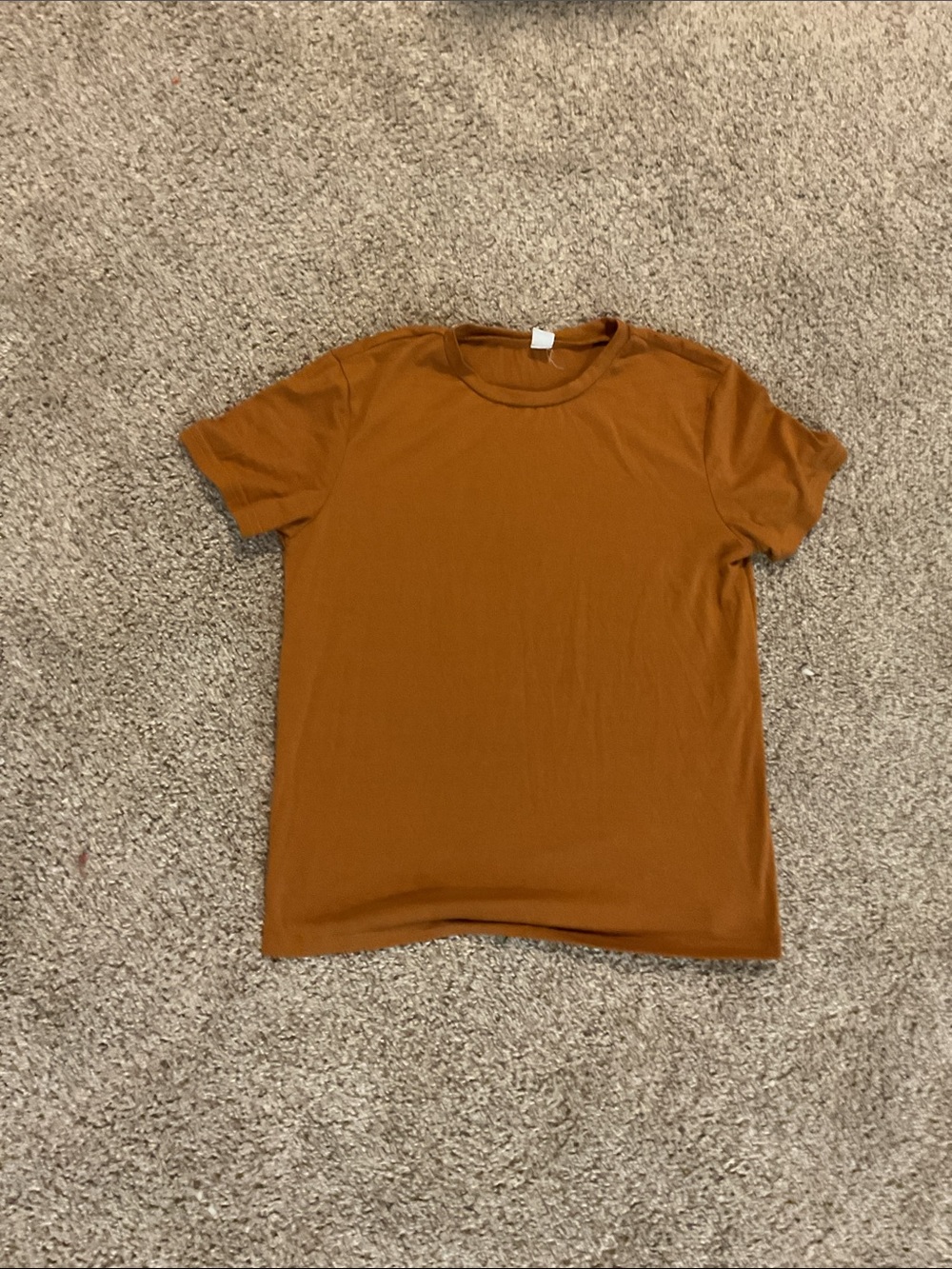 SHEIN Short Sleeve Crew Neck Tee in Rust